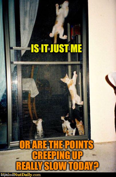 Just asking | IS IT JUST ME; OR ARE THE POINTS CREEPING UP REALLY SLOW TODAY? | image tagged in cats | made w/ Imgflip meme maker