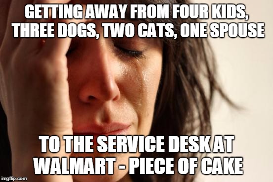 First World Problems Meme | GETTING AWAY FROM FOUR KIDS, THREE DOGS, TWO CATS, ONE SPOUSE TO THE SERVICE DESK AT WALMART - PIECE OF CAKE | image tagged in memes,first world problems | made w/ Imgflip meme maker
