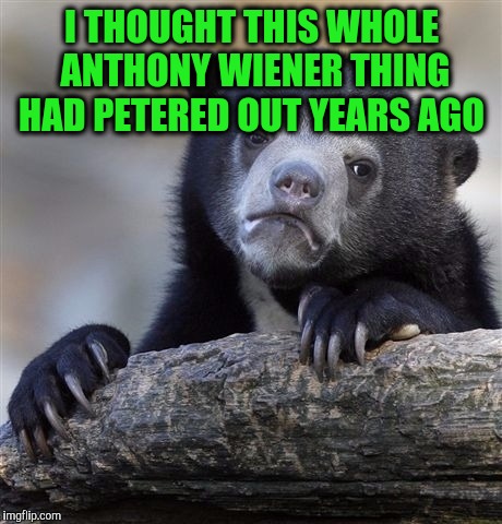 Confession Bear Meme | I THOUGHT THIS WHOLE ANTHONY WIENER THING HAD PETERED OUT YEARS AGO | image tagged in memes,confession bear | made w/ Imgflip meme maker