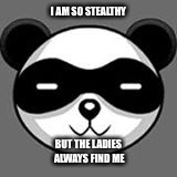 I AM SO STEALTHY; BUT THE LADIES ALWAYS FIND ME | image tagged in smug panda | made w/ Imgflip meme maker