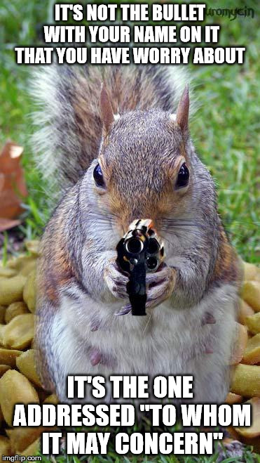Squirrels don't know your name! | IT'S NOT THE BULLET WITH YOUR NAME ON IT THAT YOU HAVE WORRY ABOUT; IT'S THE ONE ADDRESSED "TO WHOM IT MAY CONCERN" | image tagged in funny squirrels with guns 5 | made w/ Imgflip meme maker