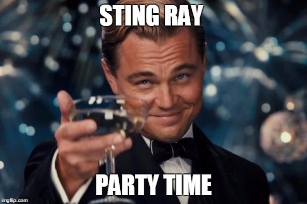 Leonardo Dicaprio Cheers Meme | STING RAY PARTY TIME | image tagged in memes,leonardo dicaprio cheers | made w/ Imgflip meme maker