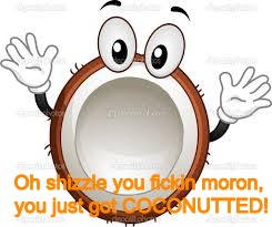 Coconutted | Oh shizzle you fickin moron, you just got COCONUTTED! | image tagged in coconutted,funny memes,dank meme,dank,banaenaed,memes | made w/ Imgflip meme maker
