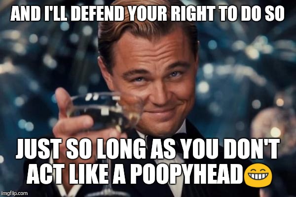 Leonardo Dicaprio Cheers Meme | AND I'LL DEFEND YOUR RIGHT TO DO SO JUST SO LONG AS YOU DON'T ACT LIKE A POOPYHEAD | image tagged in memes,leonardo dicaprio cheers | made w/ Imgflip meme maker