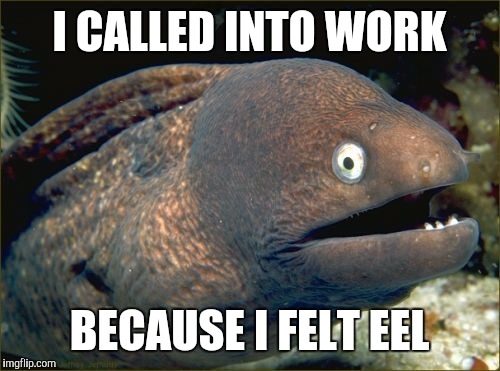 Bad Joke Eel | I CALLED INTO WORK; BECAUSE I FELT EEL | image tagged in memes,bad joke eel | made w/ Imgflip meme maker