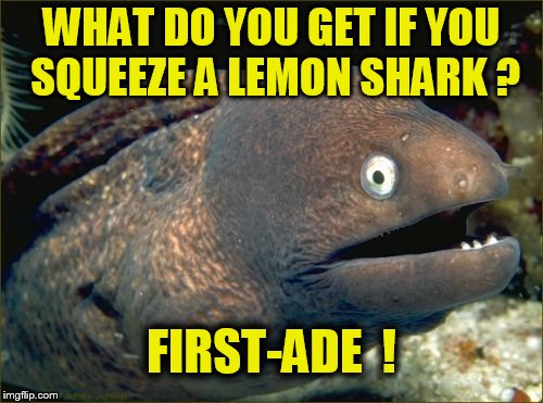 Bad Joke Eel Meme | WHAT DO YOU GET IF YOU SQUEEZE A LEMON SHARK ? FIRST-ADE  ! | image tagged in memes,bad joke eel | made w/ Imgflip meme maker