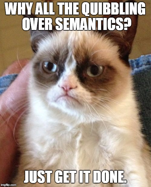 Grumpy Cat Meme | WHY ALL THE QUIBBLING OVER SEMANTICS? JUST GET IT DONE. | image tagged in memes,grumpy cat | made w/ Imgflip meme maker