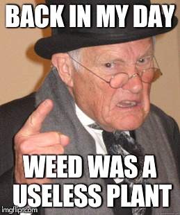 Smoke weed everyday | BACK IN MY DAY; WEED WAS A USELESS PLANT | image tagged in memes,back in my day,weed | made w/ Imgflip meme maker