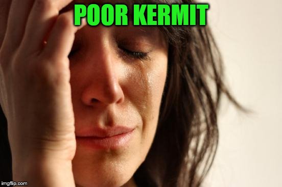 First World Problems Meme | POOR KERMIT | image tagged in memes,first world problems | made w/ Imgflip meme maker