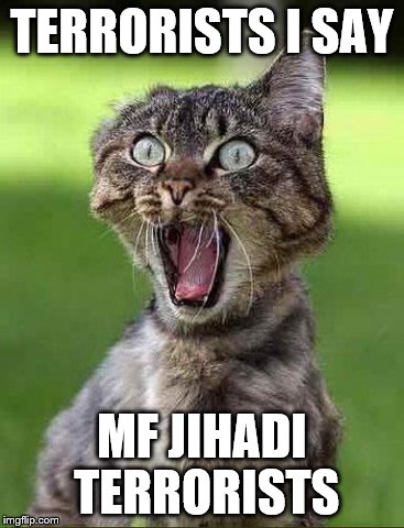 TERRORISTS I SAY MF JIHADI TERRORISTS | made w/ Imgflip meme maker
