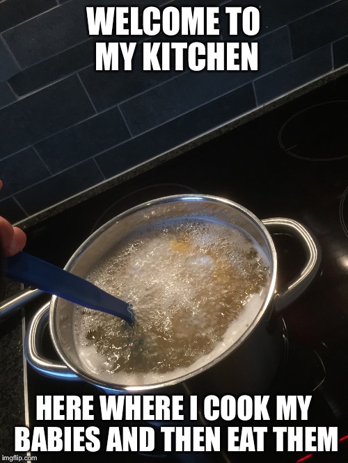 WELCOME TO MY KITCHEN; HERE WHERE I COOK MY BABIES AND THEN EAT THEM | image tagged in funny | made w/ Imgflip meme maker