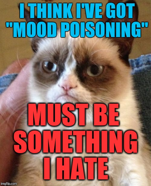 Grumpy Cat Meme | I THINK I'VE GOT "MOOD POISONING"; MUST BE SOMETHING I HATE | image tagged in memes,grumpy cat | made w/ Imgflip meme maker
