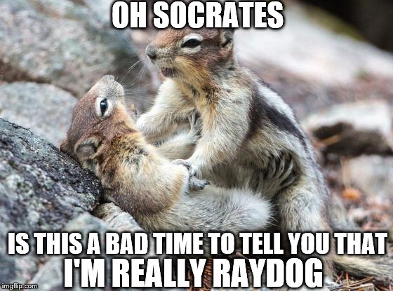 Surely Sara Squirrely  | OH SOCRATES; IS THIS A BAD TIME TO TELL YOU THAT; I'M REALLY RAYDOG | image tagged in sara squirrel,socrates,raydog,funny meme,comedy,memes | made w/ Imgflip meme maker