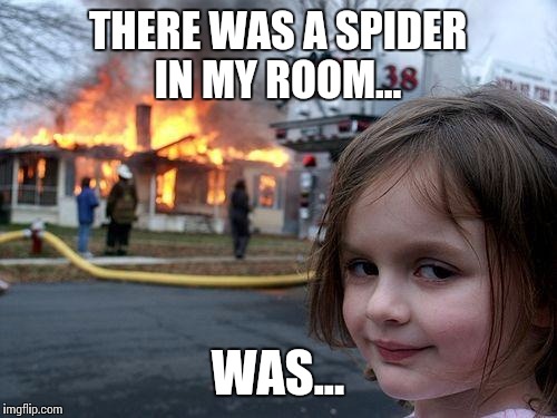 Disaster Girl | THERE WAS A SPIDER IN MY ROOM... WAS... | image tagged in memes,disaster girl | made w/ Imgflip meme maker