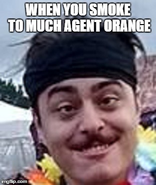 Agent orange | WHEN YOU SMOKE TO MUCH AGENT ORANGE | image tagged in vietnam | made w/ Imgflip meme maker