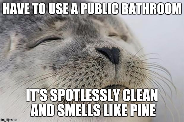 7-11 Heaven | HAVE TO USE A PUBLIC BATHROOM; IT'S SPOTLESSLY CLEAN AND SMELLS LIKE PINE | image tagged in memes,satisfied seal | made w/ Imgflip meme maker