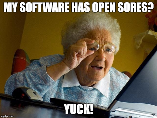 Grandma Finds The Internet | MY SOFTWARE HAS OPEN SORES? YUCK! | image tagged in memes,grandma finds the internet | made w/ Imgflip meme maker