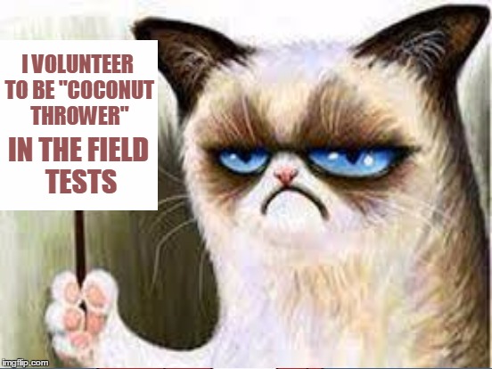 I VOLUNTEER TO BE "COCONUT THROWER" IN THE FIELD TESTS | made w/ Imgflip meme maker