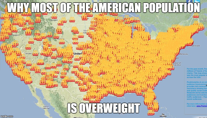 WHY MOST OF THE AMERICAN POPULATION; IS OVERWEIGHT | image tagged in mc usa | made w/ Imgflip meme maker