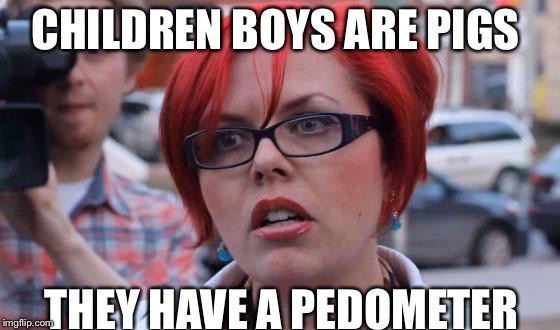 Angry Feminist | CHILDREN BOYS ARE PIGS; THEY HAVE A PEDOMETER | image tagged in angry feminist | made w/ Imgflip meme maker