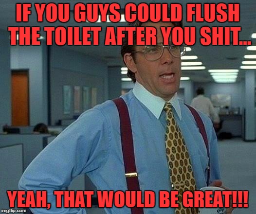 That Would Be Great Meme | IF YOU GUYS COULD FLUSH THE TOILET AFTER YOU SHIT... YEAH, THAT WOULD BE GREAT!!! | image tagged in memes,that would be great | made w/ Imgflip meme maker