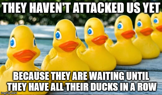 THEY HAVEN'T ATTACKED US YET BECAUSE THEY ARE WAITING UNTIL THEY HAVE ALL THEIR DUCKS IN A ROW | made w/ Imgflip meme maker