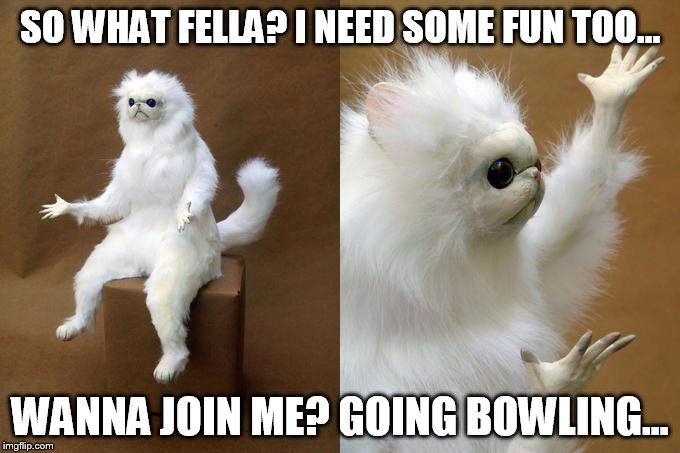 Persian Cat Room Guardian | SO WHAT FELLA? I NEED SOME FUN TOO... WANNA JOIN ME? GOING BOWLING... | image tagged in memes,persian cat room guardian | made w/ Imgflip meme maker