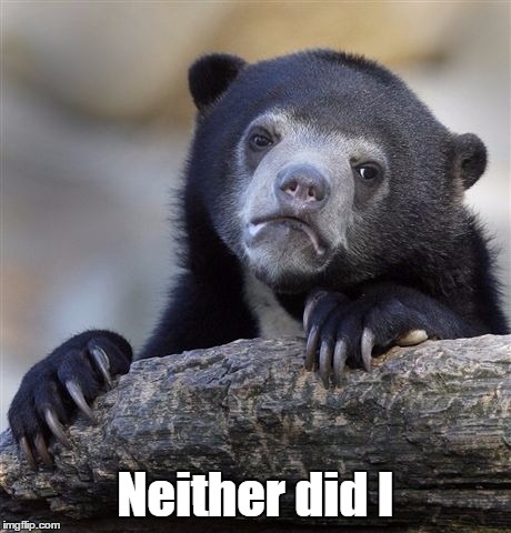 Confession Bear Meme | Neither did I | image tagged in memes,confession bear | made w/ Imgflip meme maker