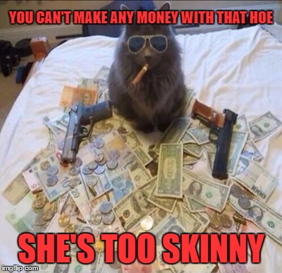 YOU CAN'T MAKE ANY MONEY WITH THAT HOE SHE'S TOO SKINNY | made w/ Imgflip meme maker