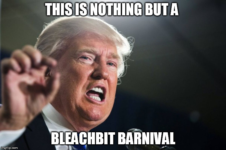 donald trump | THIS IS NOTHING BUT A; BLEACHBIT BARNIVAL | image tagged in donald trump | made w/ Imgflip meme maker