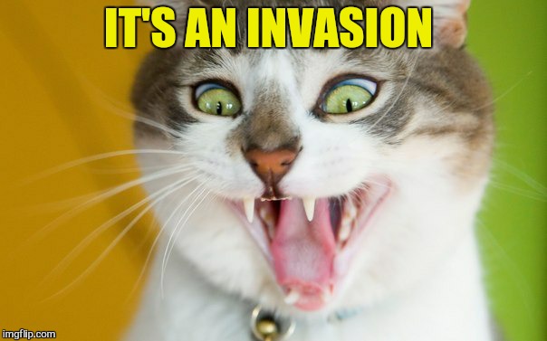 IT'S AN INVASION | made w/ Imgflip meme maker