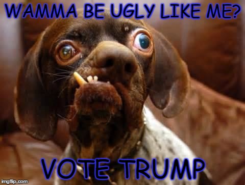 UGLY DOG | WAMMA BE UGLY LIKE ME? VOTE TRUMP | image tagged in ugly dog | made w/ Imgflip meme maker
