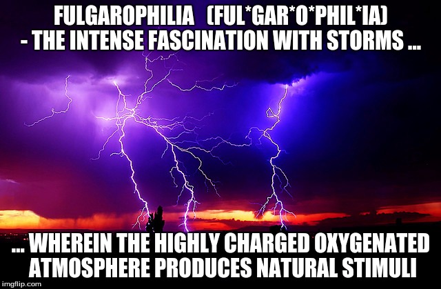 "Storm lover" | FULGAROPHILIA   (FUL*GAR*O*PHIL*IA) - THE INTENSE FASCINATION WITH STORMS ... ... WHEREIN THE HIGHLY CHARGED OXYGENATED ATMOSPHERE PRODUCES NATURAL STIMULI | image tagged in relatable | made w/ Imgflip meme maker