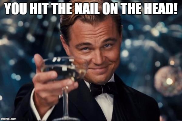 Leonardo Dicaprio Cheers Meme | YOU HIT THE NAIL ON THE HEAD! | image tagged in memes,leonardo dicaprio cheers | made w/ Imgflip meme maker