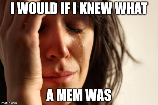 First World Problems Meme | I WOULD IF I KNEW WHAT A MEM WAS | image tagged in memes,first world problems | made w/ Imgflip meme maker