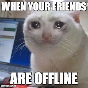 WHEN UR FRIENDS...
 | WHEN YOUR FRIENDS; ARE OFFLINE | image tagged in crying cat | made w/ Imgflip meme maker