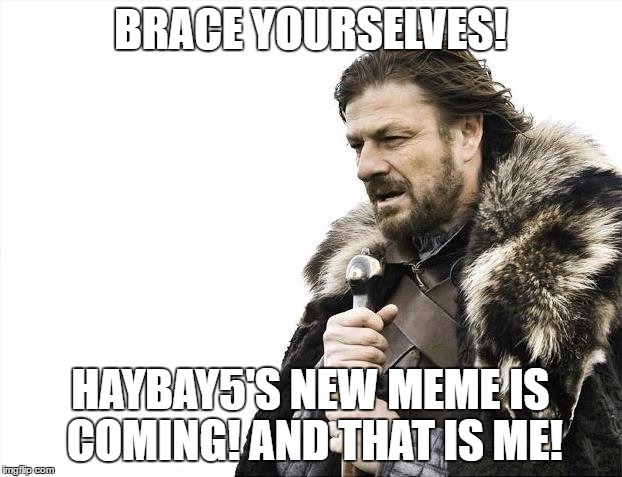 I'MTHENEWMEMEINTOWN! | BRACE YOURSELVES! HAYBAY5'S NEW MEME IS COMING! AND THAT IS ME! | image tagged in memes,brace yourselves x is coming | made w/ Imgflip meme maker