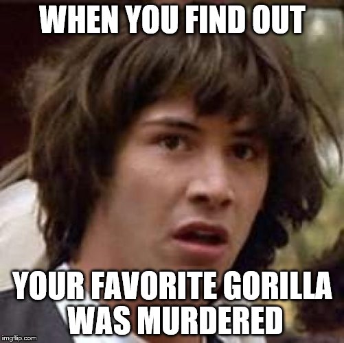 Conspiracy Keanu | WHEN YOU FIND OUT; YOUR FAVORITE GORILLA WAS MURDERED | image tagged in memes,conspiracy keanu | made w/ Imgflip meme maker