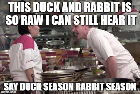 Angry Chef Gordon Ramsay | THIS DUCK AND RABBIT IS SO RAW I CAN STILL HEAR IT; SAY DUCK SEASON RABBIT SEASON | image tagged in memes,angry chef gordon ramsay | made w/ Imgflip meme maker