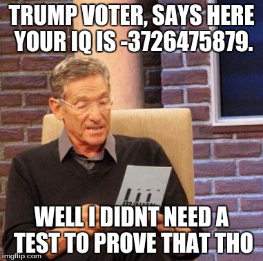 Maury Lie Detector Meme | TRUMP VOTER, SAYS HERE YOUR IQ IS -3726475879. WELL I DIDNT NEED A TEST TO PROVE THAT THO | image tagged in memes,maury lie detector | made w/ Imgflip meme maker