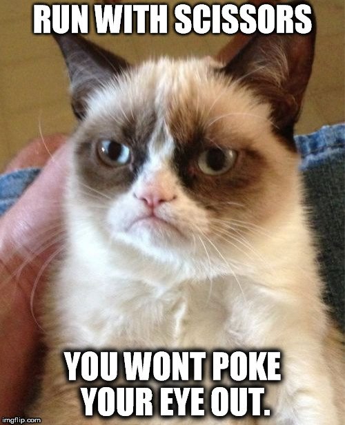 Grumpy Cat | RUN WITH SCISSORS; YOU WONT POKE YOUR EYE OUT. | image tagged in memes,grumpy cat | made w/ Imgflip meme maker