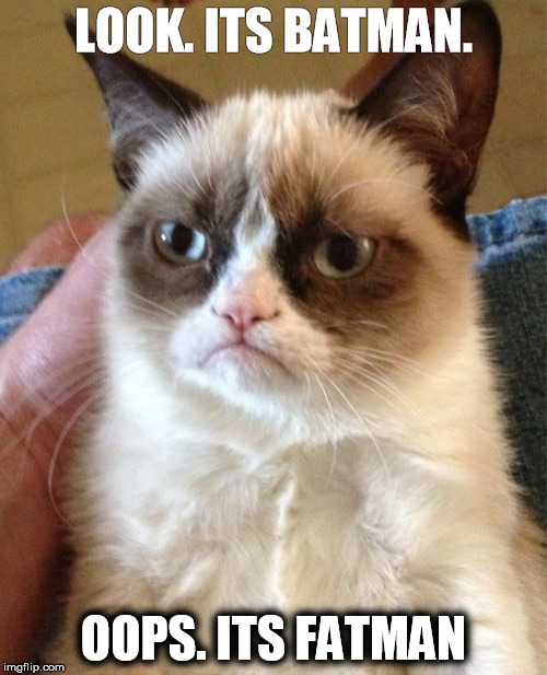 Grumpy Cat Meme | LOOK. ITS BATMAN. OOPS. ITS FATMAN | image tagged in memes,grumpy cat | made w/ Imgflip meme maker