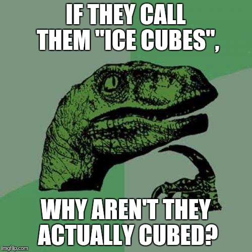Philosoraptor | IF THEY CALL THEM "ICE CUBES", WHY AREN'T THEY ACTUALLY CUBED? | image tagged in memes,philosoraptor | made w/ Imgflip meme maker