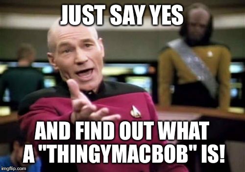 Picard Wtf Meme | JUST SAY YES AND FIND OUT WHAT A "THINGYMACBOB" IS! | image tagged in memes,picard wtf | made w/ Imgflip meme maker