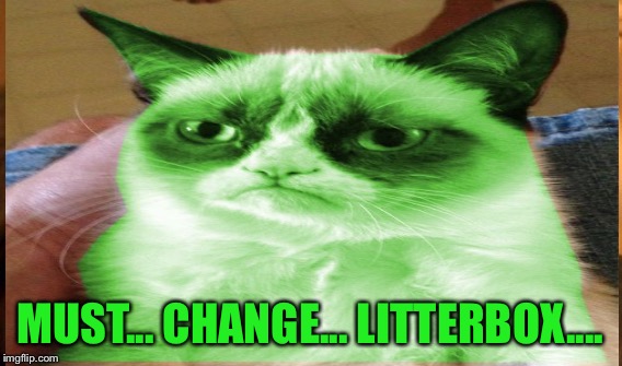 MUST... CHANGE... LITTERBOX.... | made w/ Imgflip meme maker