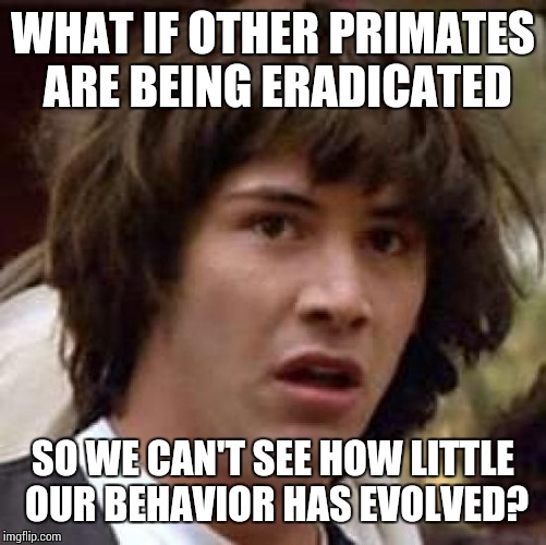 Conspiracy Keanu | WHAT IF OTHER PRIMATES ARE BEING ERADICATED; SO WE CAN'T SEE HOW LITTLE OUR BEHAVIOR HAS EVOLVED? | image tagged in memes,conspiracy keanu | made w/ Imgflip meme maker