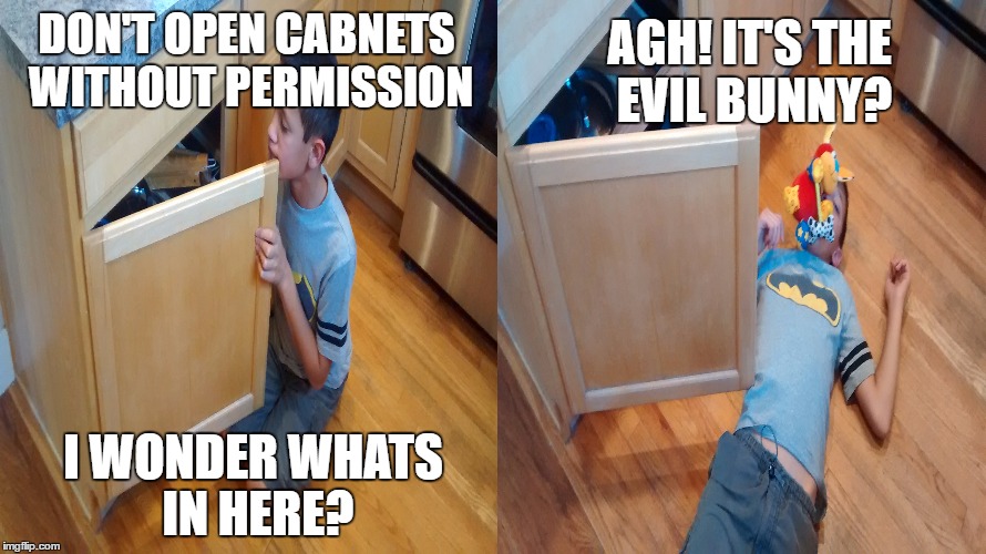 Safety Memes | AGH! IT'S THE EVIL BUNNY? DON'T OPEN CABNETS WITHOUT PERMISSION; I WONDER WHATS IN HERE? | image tagged in funny | made w/ Imgflip meme maker
