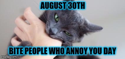 8/30 Bite People Who Annoy You Day: Cat Blank Meme Template