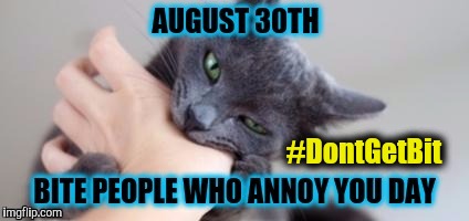 August 30: Bite People Who Annoy You Day, Cat Noms #DontGetBit | #DontGetBit | image tagged in 8/30 bite people who annoy you day cat,nom nom nom,funny cats,holidays,bite,sneak attack | made w/ Imgflip meme maker