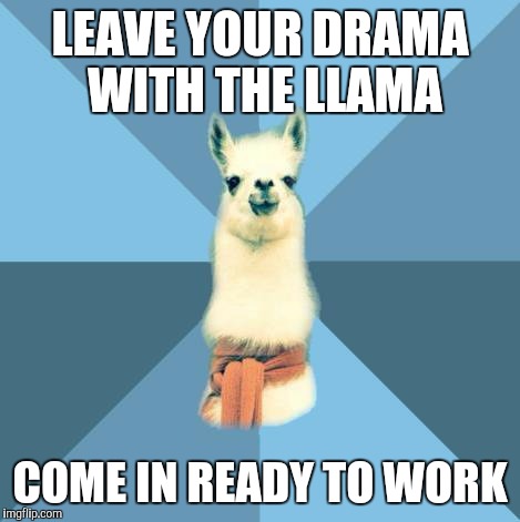 Linguistic Llama | LEAVE YOUR DRAMA WITH THE LLAMA; COME IN READY TO WORK | image tagged in linguistic llama | made w/ Imgflip meme maker